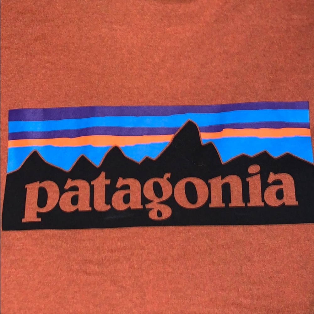 Patagonia Shirt